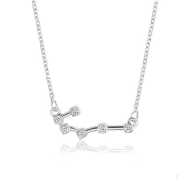 Zodiac Sign Necklace with Zircon Pendant