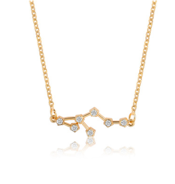 Zodiac Sign Necklace with Zircon Pendant