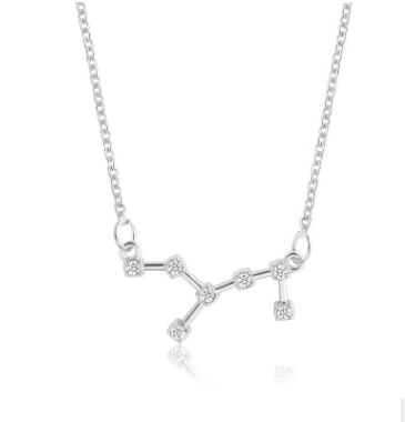 Zodiac Sign Necklace with Zircon Pendant