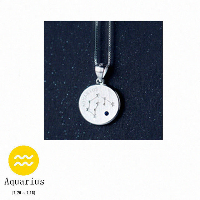 S925 Silver Zodiac Pendant Necklace with Diamonds