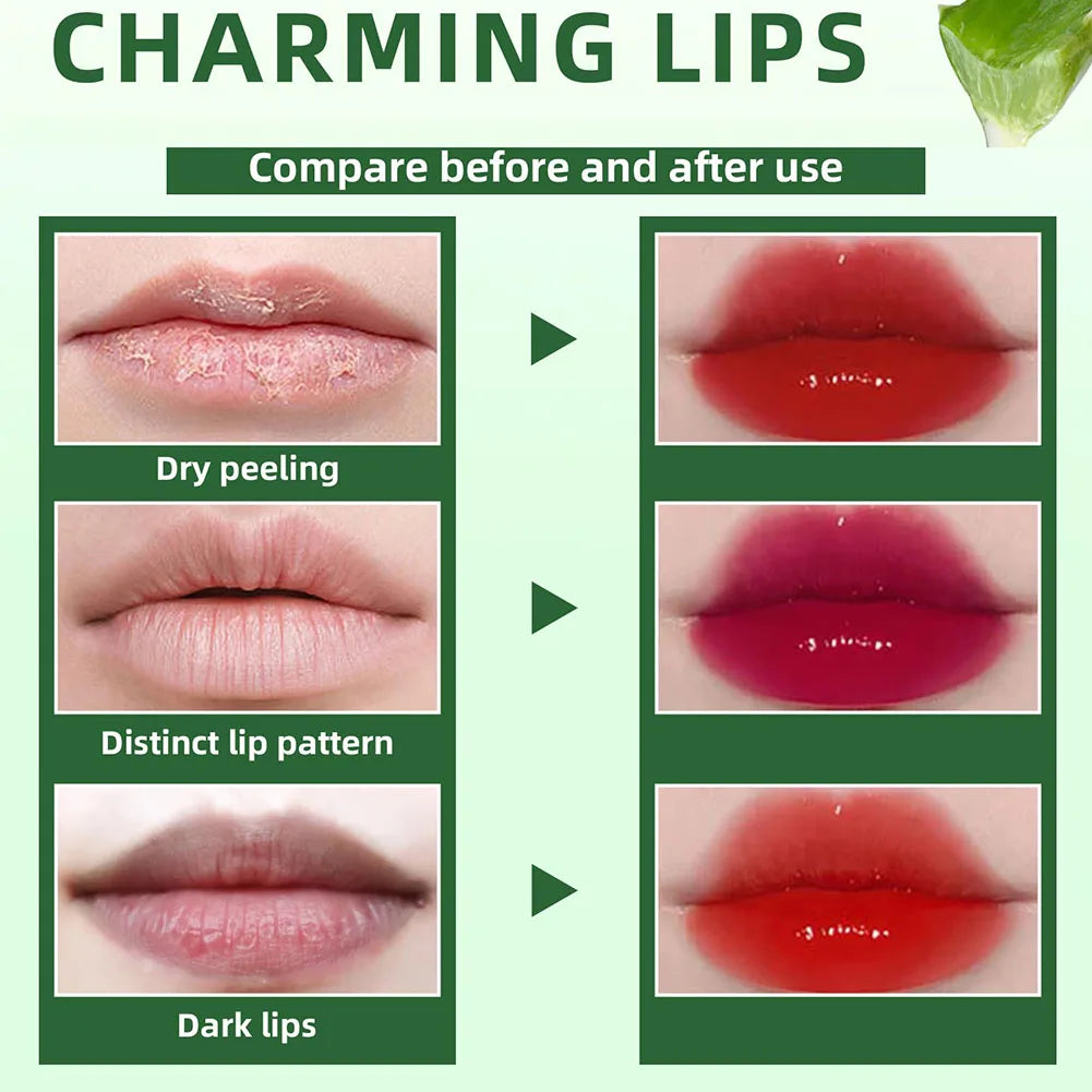 6 Color Lip Tint Stain Set