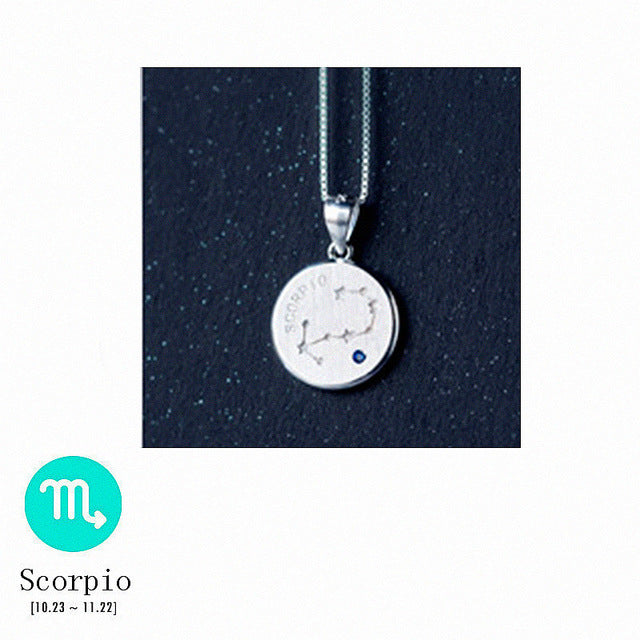 S925 Silver Zodiac Pendant Necklace with Diamonds