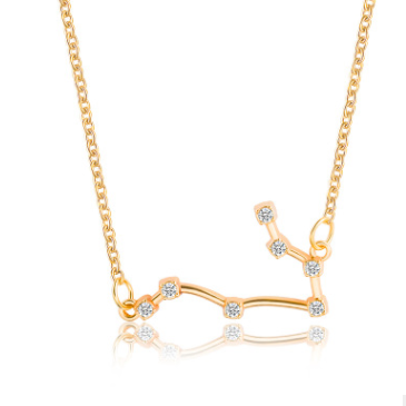 Zodiac Sign Necklace with Zircon Pendant