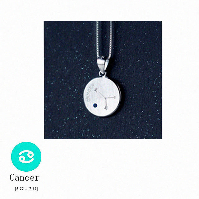 S925 Silver Zodiac Pendant Necklace with Diamonds